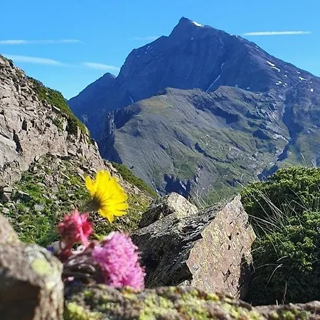 Belle Calme A La Montagne