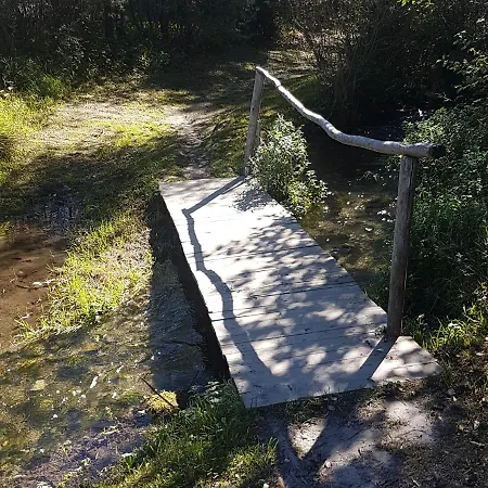 Belle Calme A La Montagne